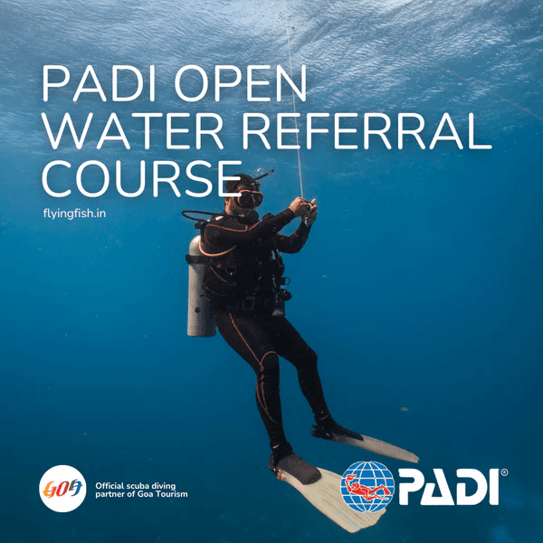 SSI Open Water referral course