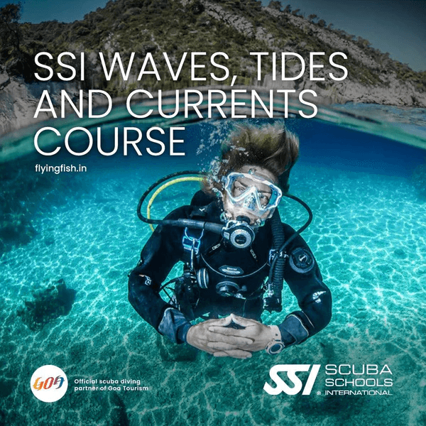 SSI Waves, Tides And Currents | Scuba Diving In Goa