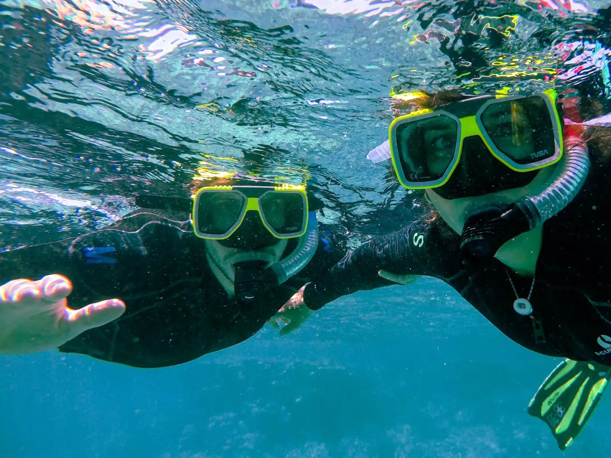 Dolphin Dive Murdeshwar