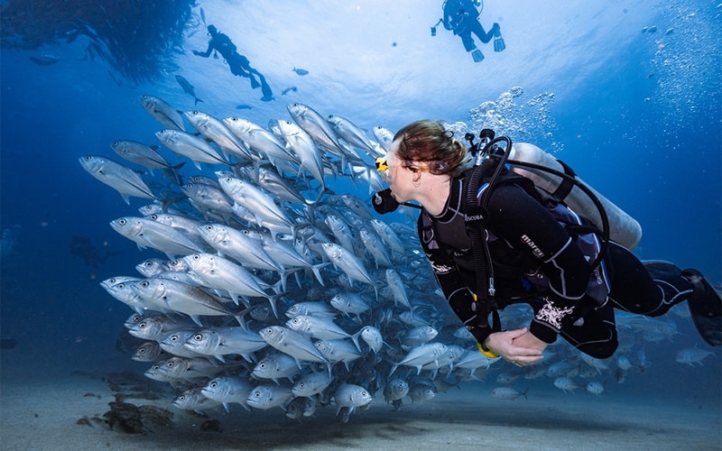Abu Dhabi Diving Center
