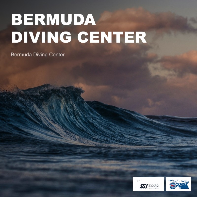 Bermuda Diving Center