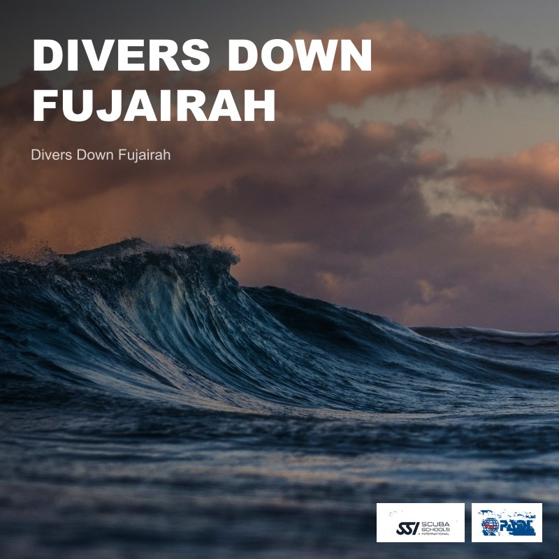 Divers Down Fujairah