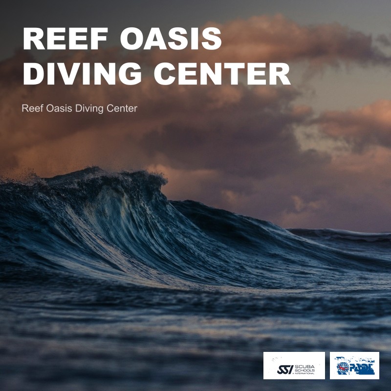 Reef Oasis Diving Center