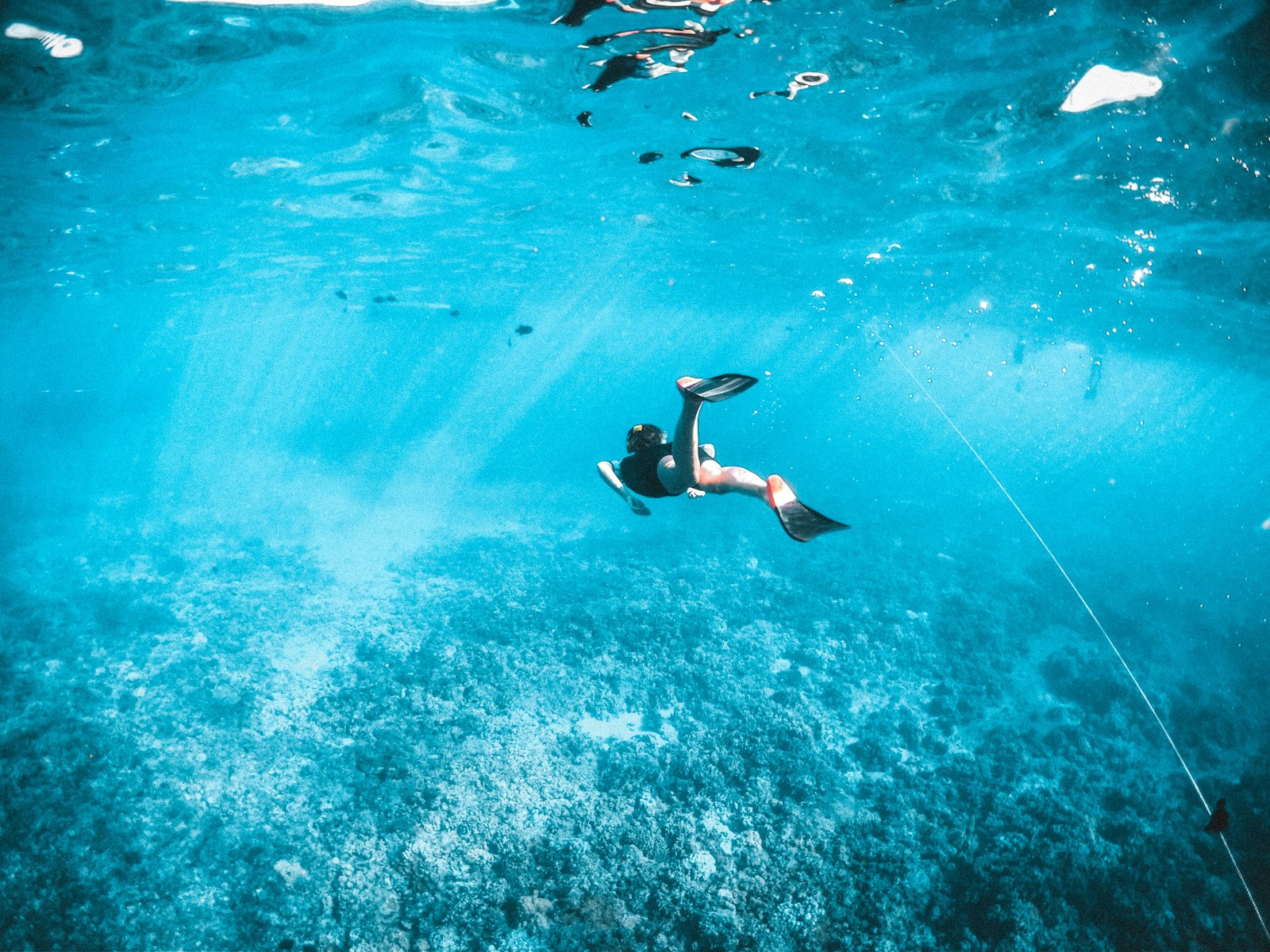 Freediving in the ocean